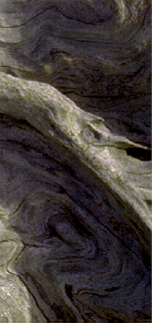 sidebar5.gif (61662 bytes)